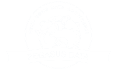 PegasusData Tech Logo